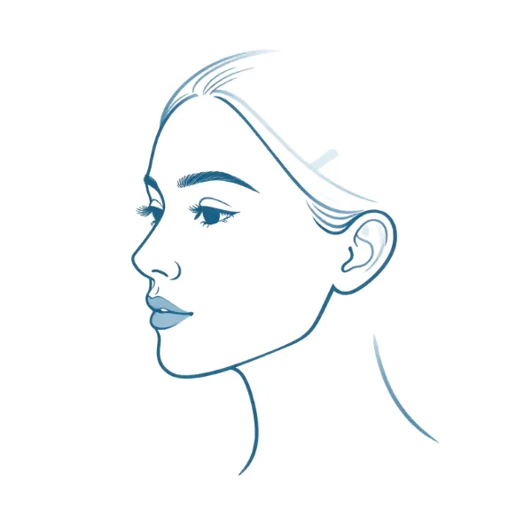 Line-art illustration representing liposuction and aesthetic surgery consultations at Rehealth