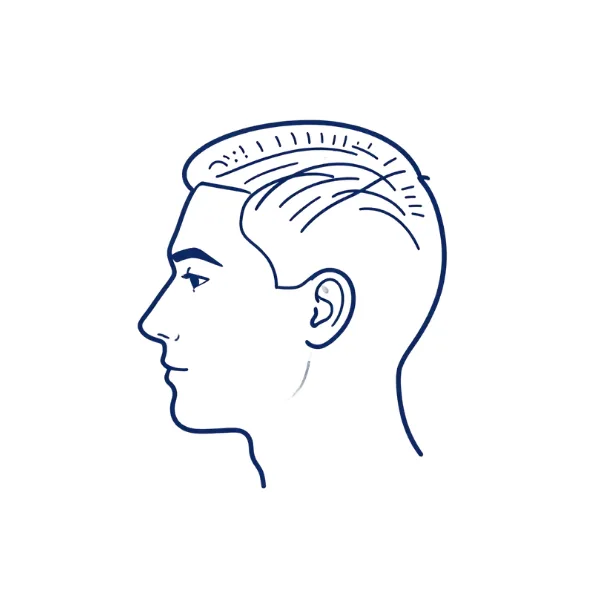 Lijntekening die haartransplantatie-consultaties bij Rehealth voorstelt